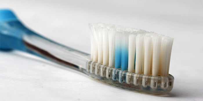 The Dirty Truth About Your Toothbrush